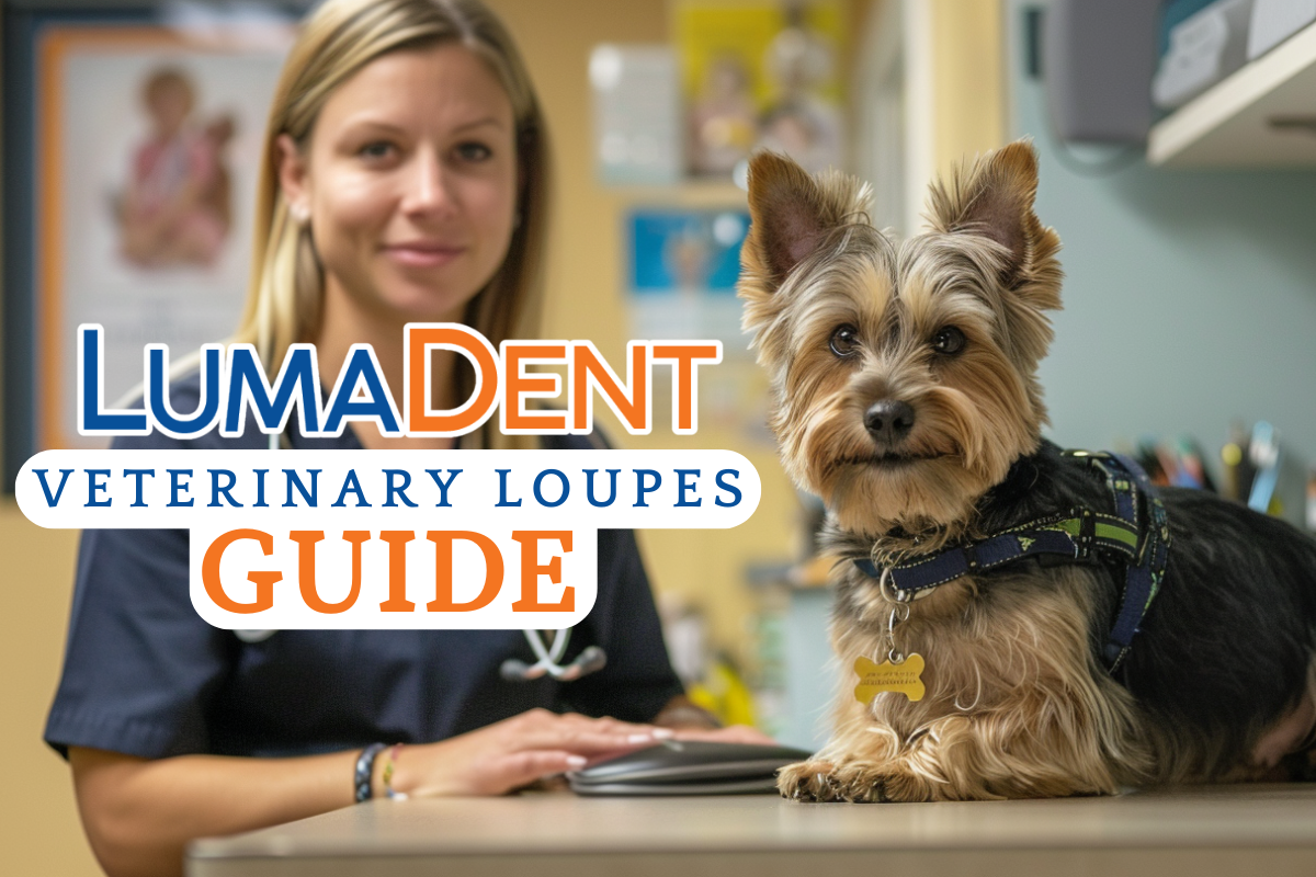 The Essential Guide to Veterinary Loupes